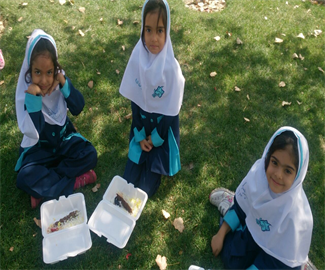 اردوی پارک الهام